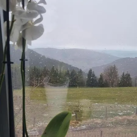 Landhaus Chaleureux Au Bessat, Nature Et Detente Pour 8 Pers.