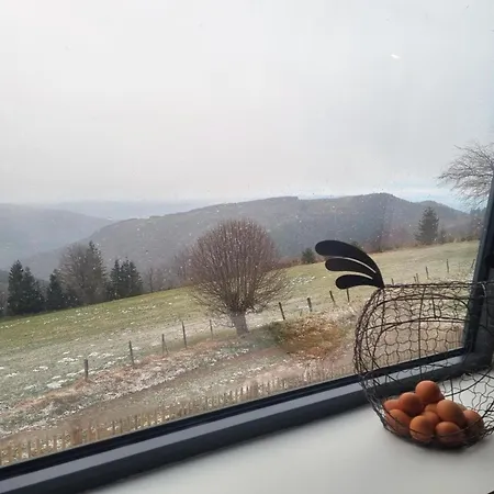 Chaleureux Au Bessat, Nature Et Detente Pour 8 Pers. Landhaus